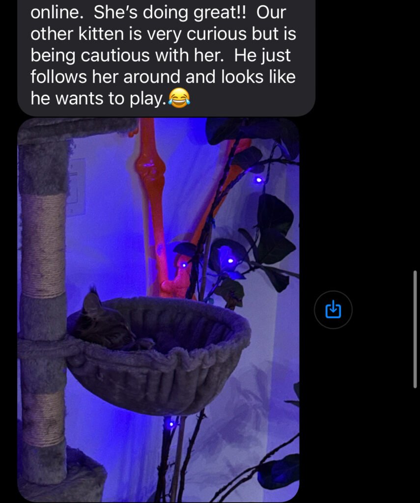 IMG_2350
